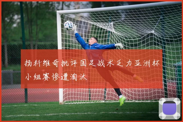 扬科维奇批评国足战术乏力亚洲杯小组赛惨遭淘汰