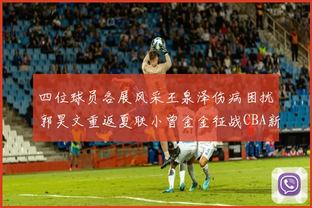 四位球员各展风采王泉泽伤病困扰郭昊文重返夏联小曾金金征战CBA新赛季
